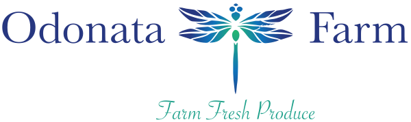 Odonata Farm