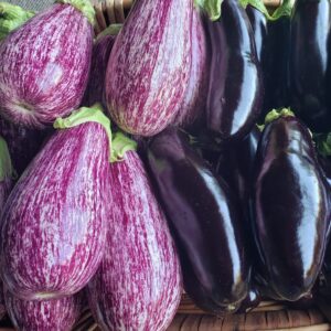 Eggplant