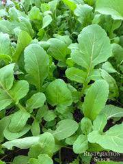 Arugula