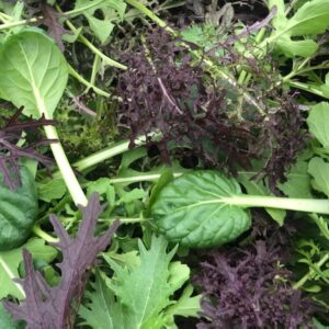 Asian Greens