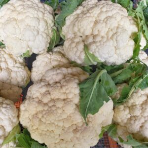 Cauliflower
