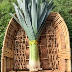 Leeks