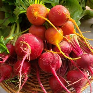 Beets Mix