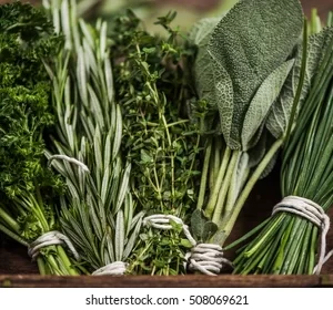 Herbs