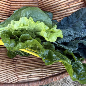 Sampler saute greens bunch