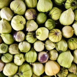 Tomatillos