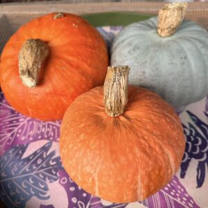 Kabocha winter squash